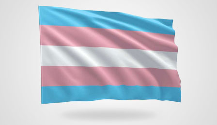 Transgender Pride