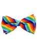 Gay Pride Regenbogen Bowtie Fliege 