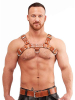 Mister B Signature Harness Brown 