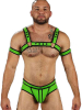 Mister S Neo BOLD COLOR BULLDOG Harness - lime 