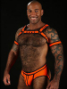 Mister S Neo BOLD COLOR BULLDOG Harness - orange 