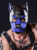Mister S Neopren K9 Puppy-Maske - schwarz/royal 