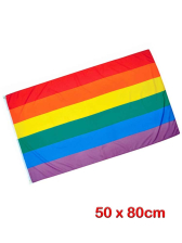 Gay Pride Regenbogen Flagge 50x80cm 
