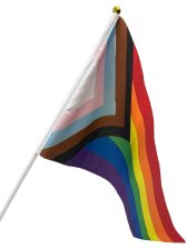 Progressive Pride Regenbogen Flagge 26x19cm 