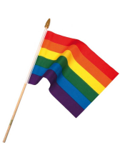 Gay Pride Regenbogen Flagge 10x15cm 