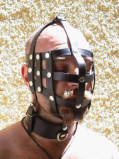Kopfharness aus Leder 