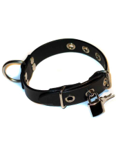 Leder-Halsband, abschließbar 