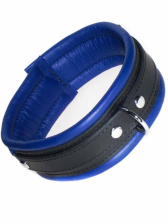 Leder-Halsband, gepolstert blau 5cm 