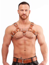 Mister B Signature Harness Braun 