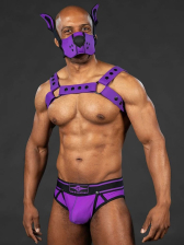 Mister S Silikon Brust Harness purple 