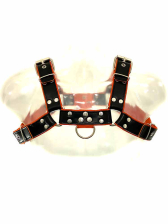 Oberkörper-Harness PITBULL mit oranger Paspel - 4cm 