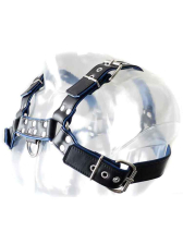 Oberkörper-Harness PITBULL mit blauer Paspel - 4cm 