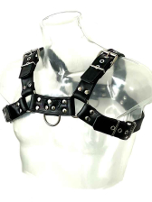 Oberkörper-Harness PITBULL mit schwarzer Paspel - 4cm 