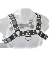 Oberkörper-Harness PITBULL mit weisser Paspel - 4cm 