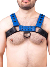 Oberkörper-Harness schwarz-blau 