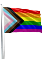 Regenbogen Progress Flagge 90x150cm 