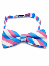 Transgender Bowtie Fliege 