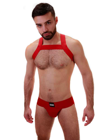 Barcode Harness MATT - rot 