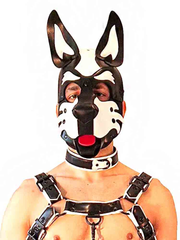BRUTUS Pup Hood Veganleder weiss-schwarz 