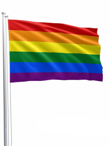 Gay Pride Regenbogen Flagge 90x150cm 