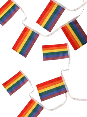 Gay Pride Regenbogen Flaggenkette 30x45cm 