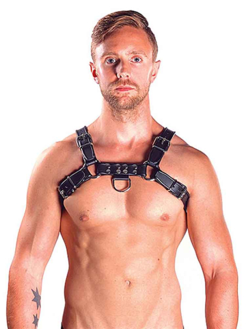 Mister B Leather Chest/Brust Harness, schwarz-schwarz 