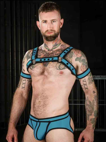 Mister S Neo BOLD COLOR BULLDOG Harness - aqua 