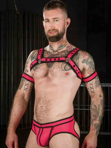 Mister S Neo BOLD COLOR BULLDOG Harness - pink 