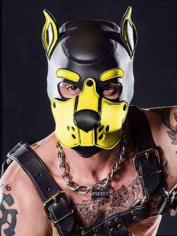 Mister S Neopren K9 Puppy-Maske - schwarz/gelb 