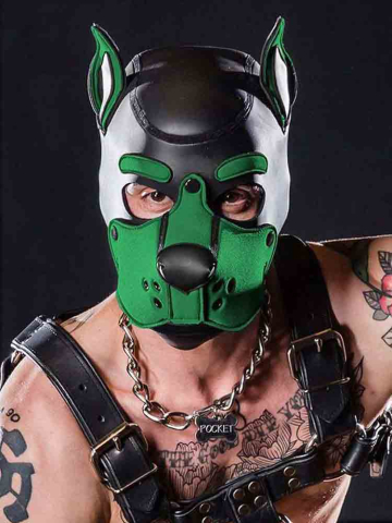 Mister S Neopren K9 Puppy-Maske - schwarz/hunter grün 