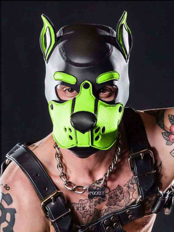 Mister S Neopren K9 Puppy-Maske - schwarz/lime 