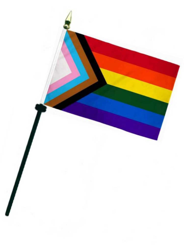 Regenbogen Progress Flagge 10x15cm 