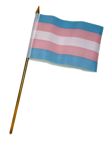 Transgender Pride Flagge 10x15cm 