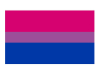 Bisexuell Flagge 90x150cm 