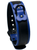 BRUTUS Puppy Hunde-Halsband schwarz-blau 