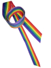 Gay Pride Regenbogen Stoffband Geschenkband - breit 