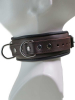 Leder-Halsband gepolstert schwarzbraun - 4 D-Ringe 6,5cm 
