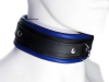 Leder-Halsband, gepolstert blau 5cm 