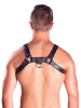 Mister B Leather Chest/Brust Harness, schwarz-schwarz 
