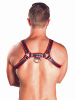 Mister B Leather Chest/Brust Harness, schwarz-rot 