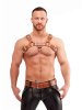 Mister B Signature Harness Brown 