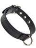 Mister S Leder Puppy Halsband - schwarz 