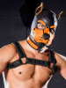 Mister S Neopren K9 Puppy-Maske - schwarz/orange 