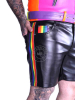 Riegillio Schwarze 5 Pocket Short PRIDE 