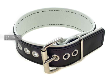 Bizeps-Band Oberarmband mit Schließe - weiße Paspel  2