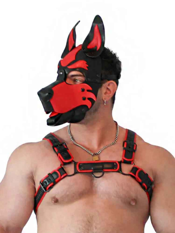 BRUTUS Pup Hood Veganleder rot-schwarz  2