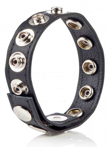 Leder-Cockring 8 Druckknöpfe  2