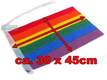 Gay Pride Regenbogen Flaggenkette 30x45cm  2
