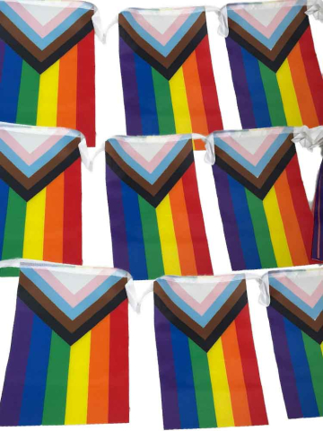 Progressive Regenbogen Flaggenkette 15x 14x21cm  2