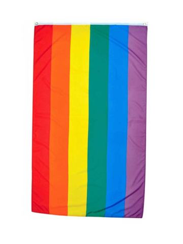Gay Pride Regenbogen Flagge 50x80cm  2